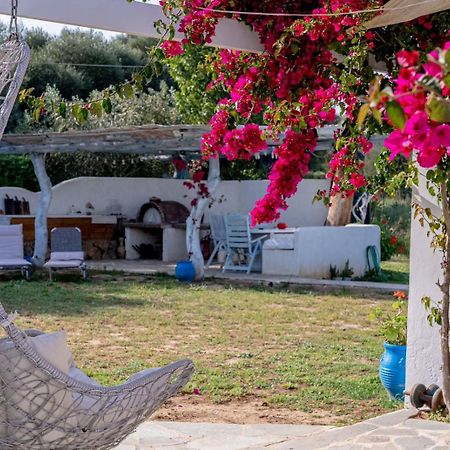 פורטו הלי Summer House מראה חיצוני תמונה