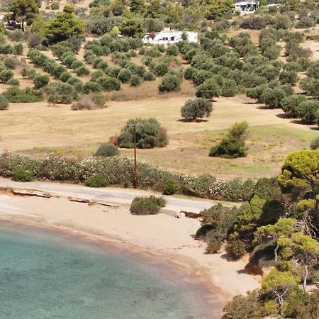 פורטו הלי Summer House מראה חיצוני תמונה