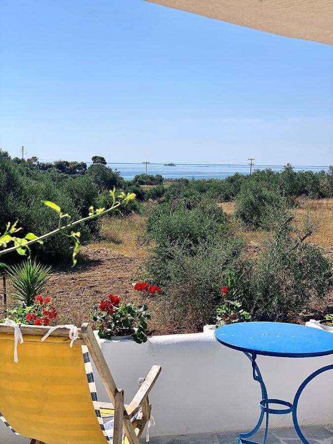 פורטו הלי Summer House מראה חיצוני תמונה