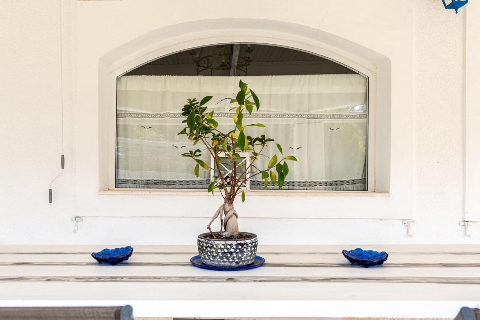 פורטו הלי Summer House מראה חיצוני תמונה